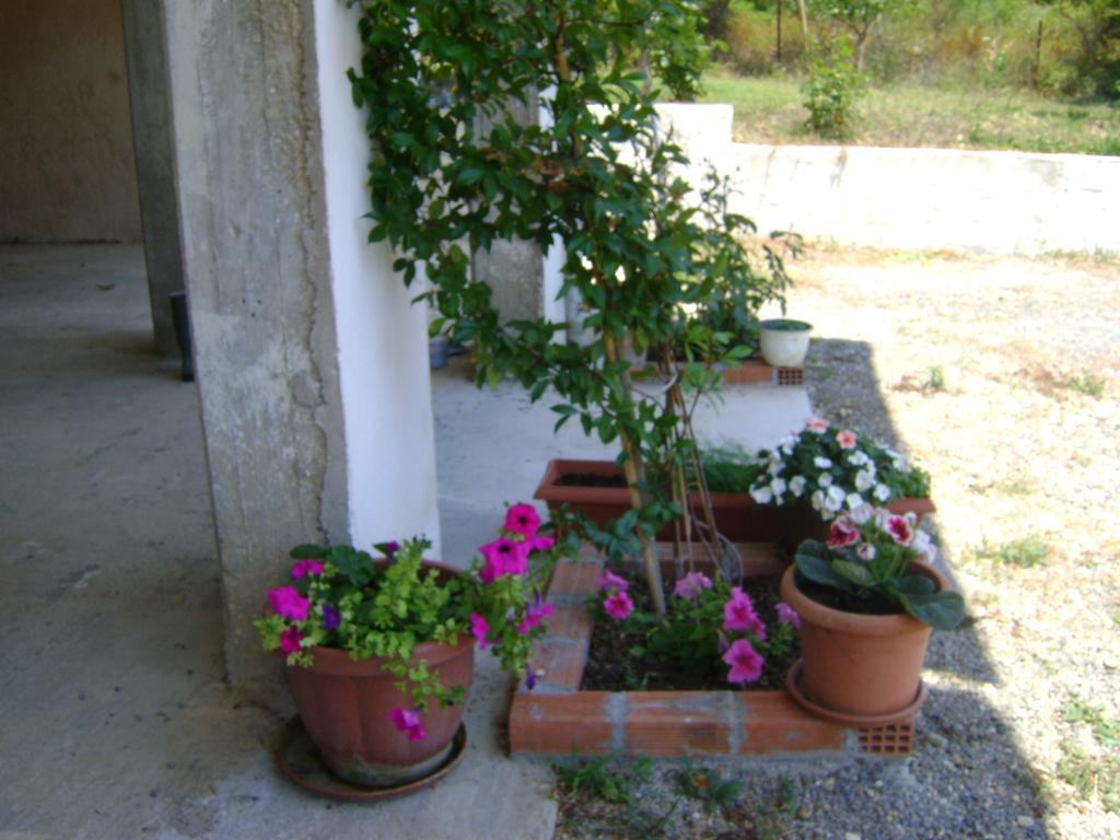 Scorpios Apartments Dassia  Extérieur photo