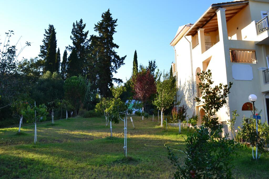 Scorpios Apartments Dassia  Chambre photo